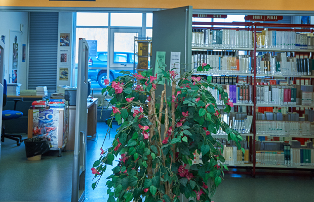 © Ville de Nevers Faculté de droit de Nevers (bibliothèque)
