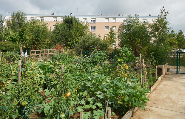 © Ville de Nevers Jardin familial situé dans le quartier de la Grande-Pâture.