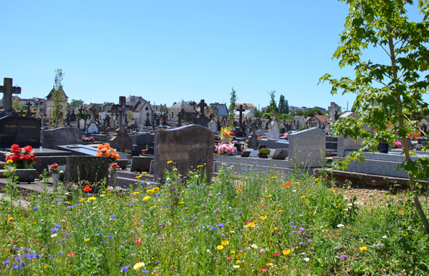 Le paysage lunaire du cimetière Jean-Gautherin ets peu à peu transformé.