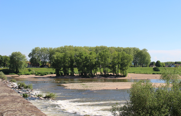 © Ville de Nevers L'île aux sternes, à proximité du pont de Loire.