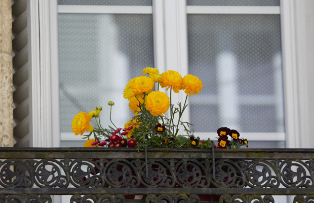 © Blandine Bertrand Fleurissement d'un balcon rue Saint-Genest.