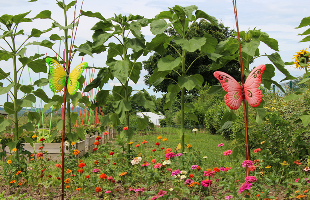 Jardin pédagogique situé au centre technique horticole