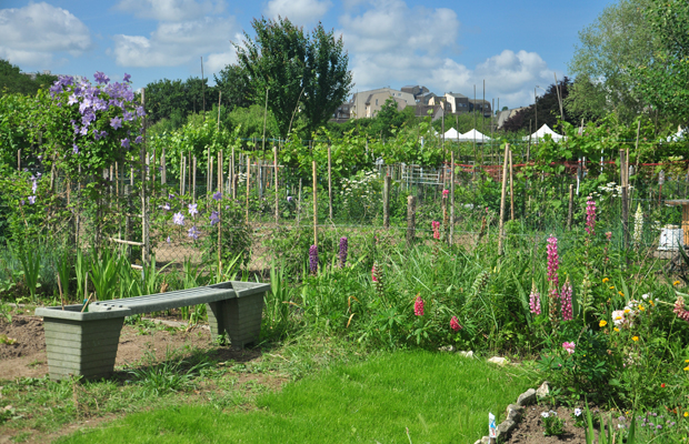 © Olesia Yanenko Jardin en partage situé aux Courlis