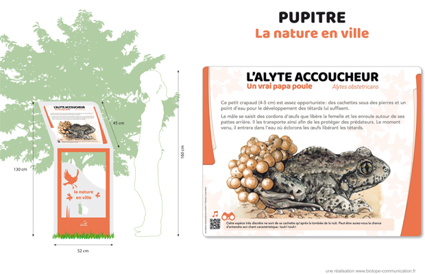© Biotope communication Illustration de ce que sera la signalétique dédiée à la biodiversité locale.