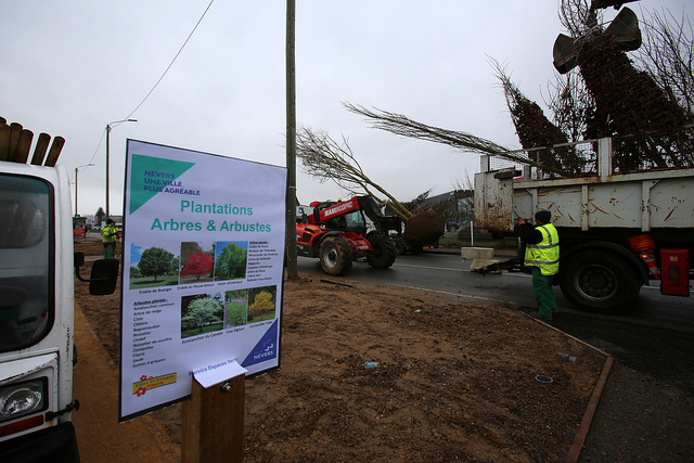 © Ville de Nevers 25 arbres sont en train d'être plantés le long du boulevard du Pré Plantin.