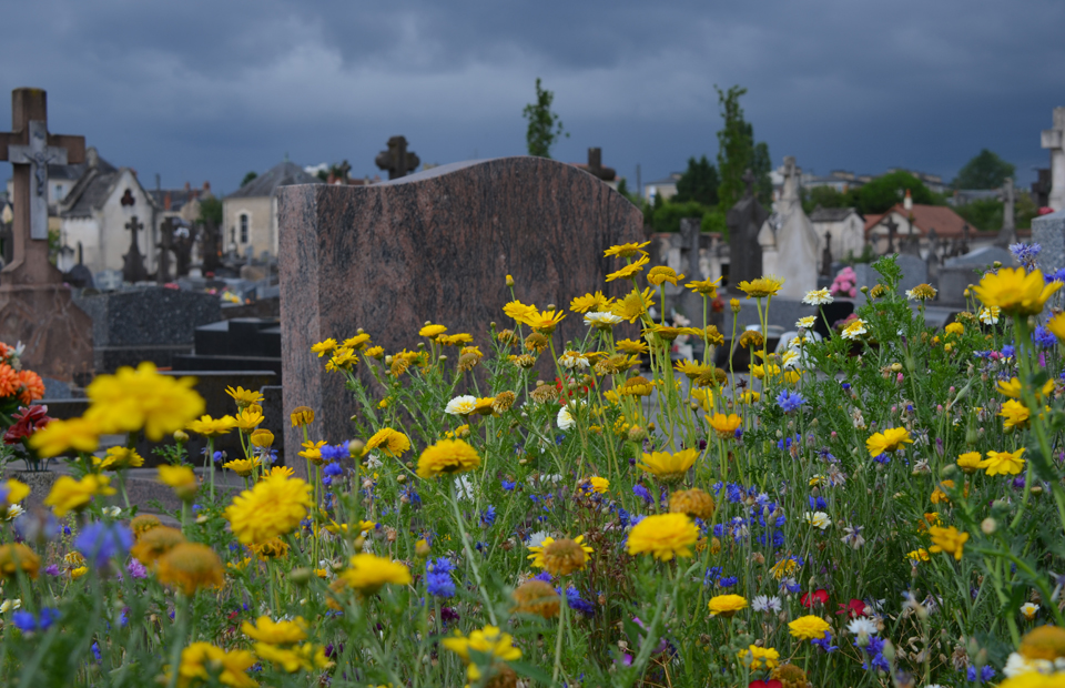 Le cimetière Jean-Gautherin