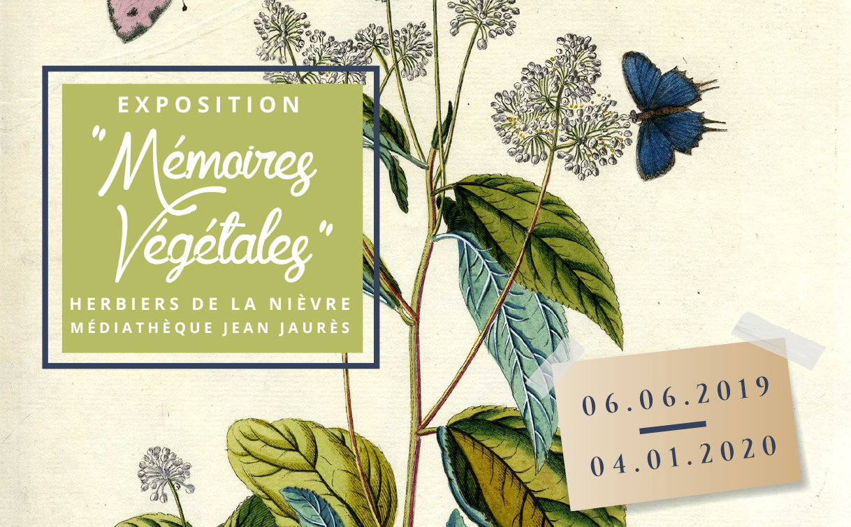 Une expo pour célébrer la biodiversité d'hier, d'aujourd'hui et de demain.