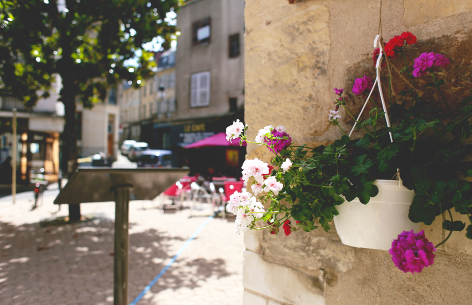 La Ville de Nevers concourt pour obtenir une quatrième fleur au label national des Villes et Villages fleuris.