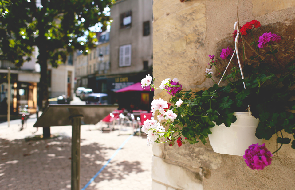 © Sarah Belin La Ville de Nevers concourt pour obtenir une quatrième fleur au label national des Villes et Villages fleuris.