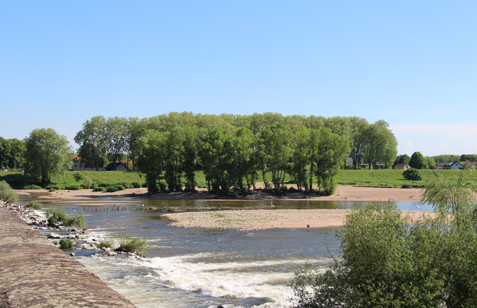 © Ville de Nevers L'île aux sternes se situe à proximité du pont de Loire.