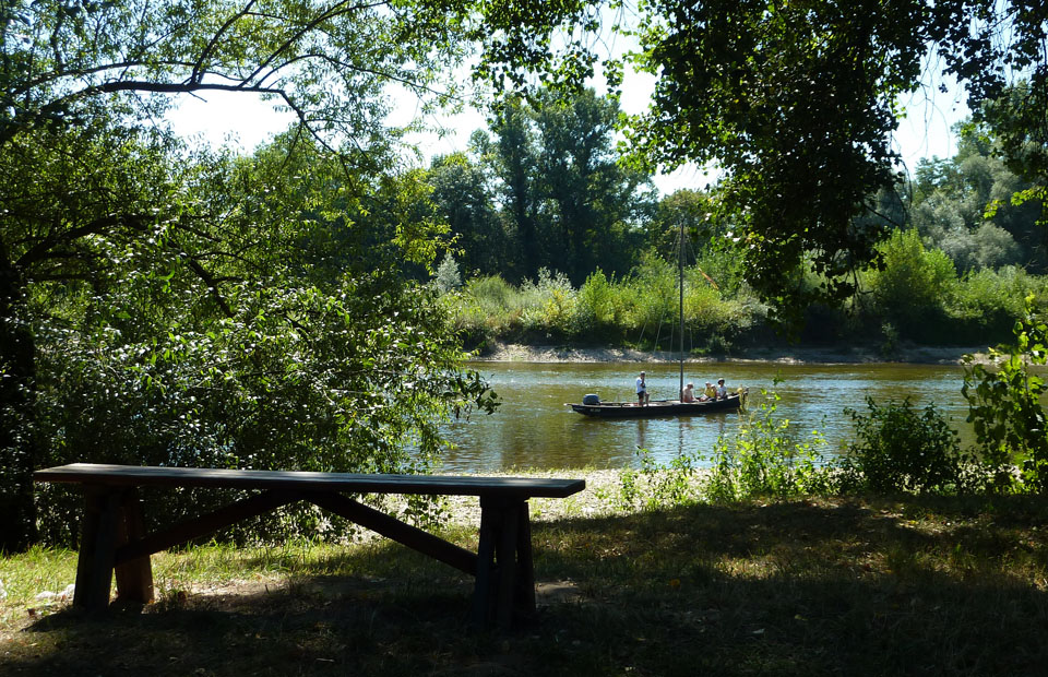 Le sentier du Ver-Vert se situe dans le prolongement de la route des Saulaies.