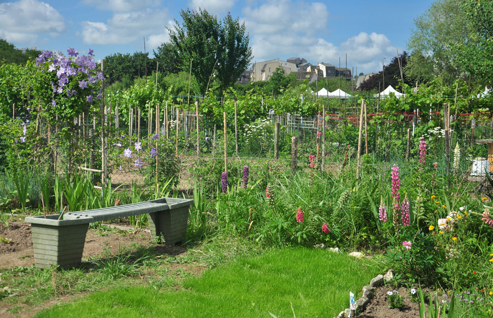 Jardin en partage situé aux Courlis.