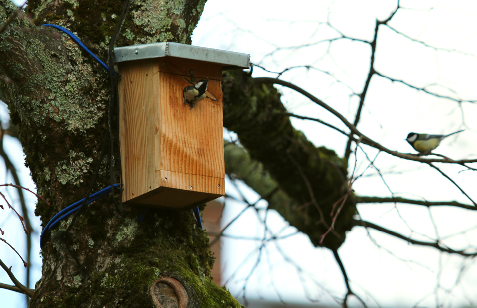 Centre de conservation des oiseaux sauvages Le Nichoir - Mercredi La Plume  Verte: Saviez-vous que notre magasin offre maintenant des nichoirs de  Permabitat? Ces nichoirs, faits au Québec, ont toutes les caractéristiques