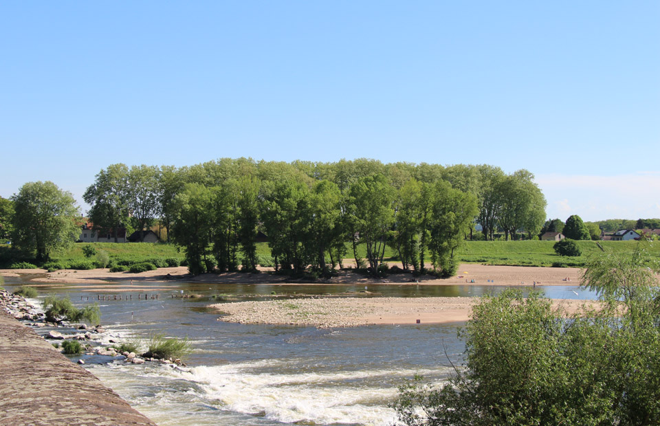 © Blandine Bertrand (photo d'archives) L'accès à l'île aux sternes est interdit par arrêté préfectoral jusqu'au 31 août.