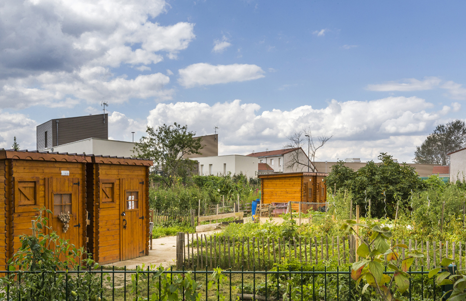 Jardin en partage à la Grande-Pâture.