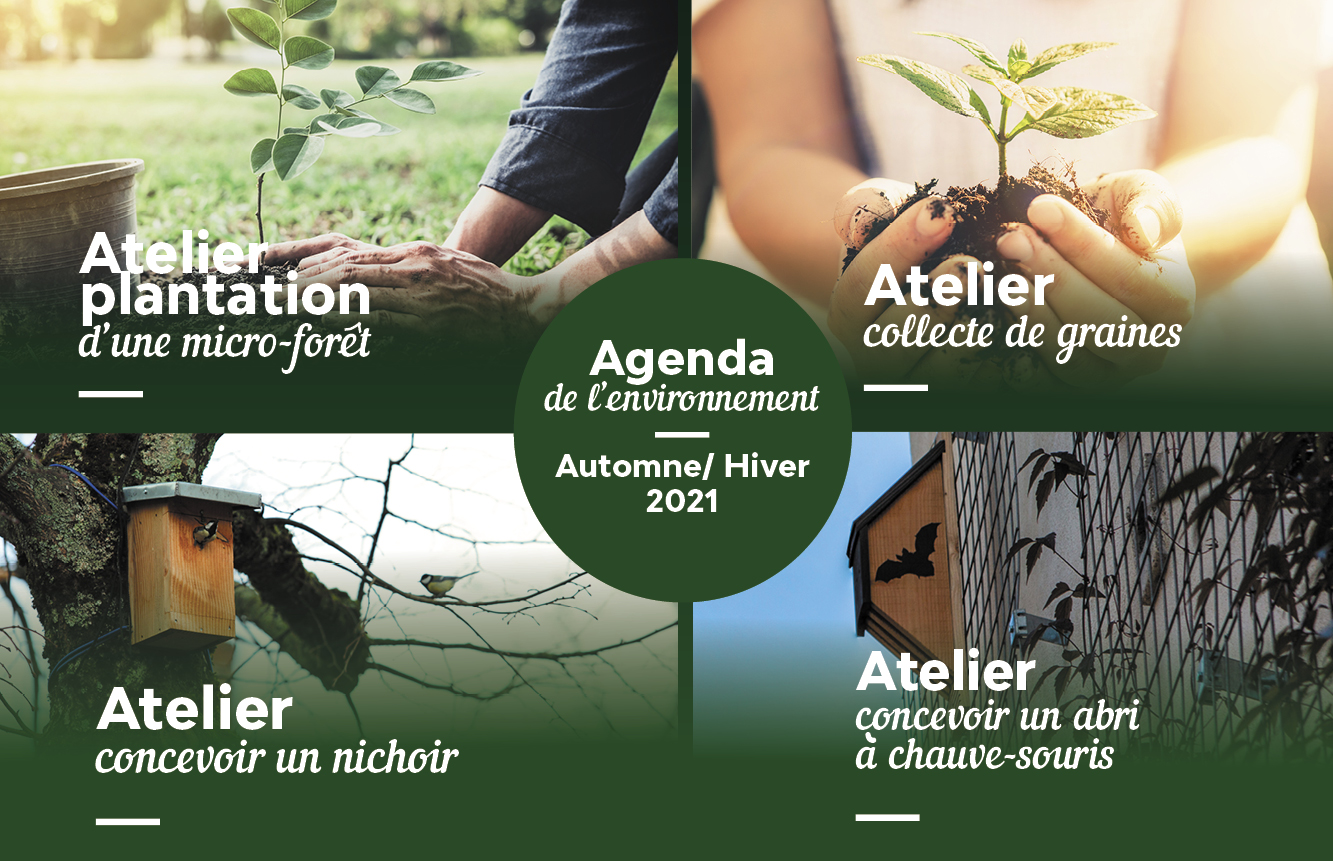 © Ville de Nevers Dans le cadre de l'agenda Environnement automne - hiver de la Ville de Nevers, quatre activités en faveur de la biodiversité réparties en cinq ateliers sont proposées.