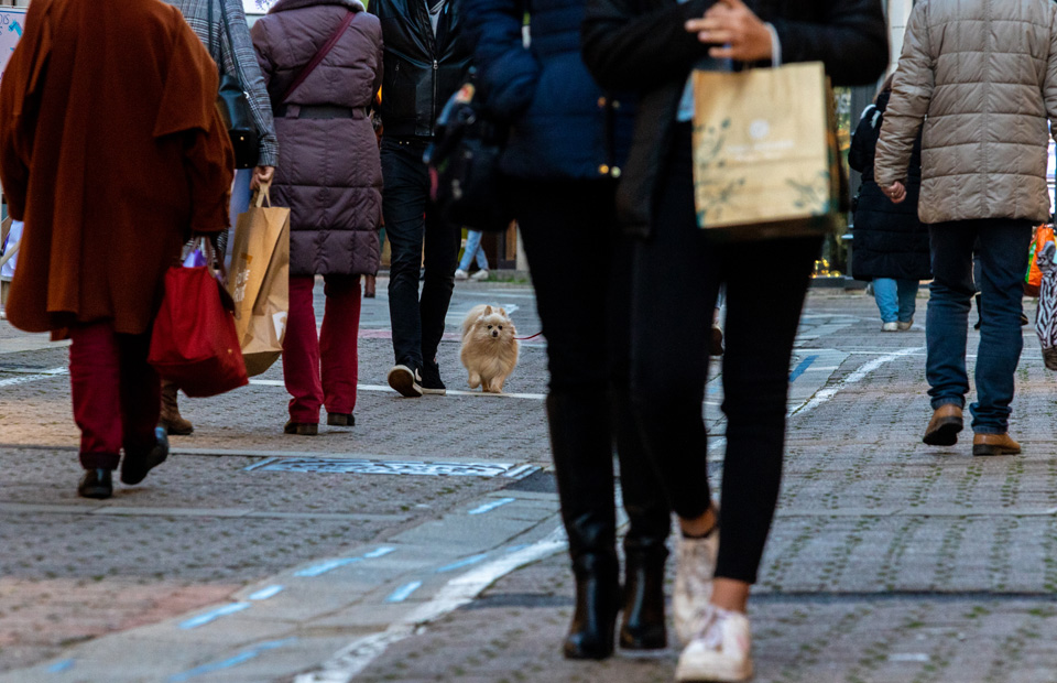 © Ville de Nevers La première phase des travaux d'aménagement de la zone commerçante François-Mitterrand est prévue pour fin d'année 2023.