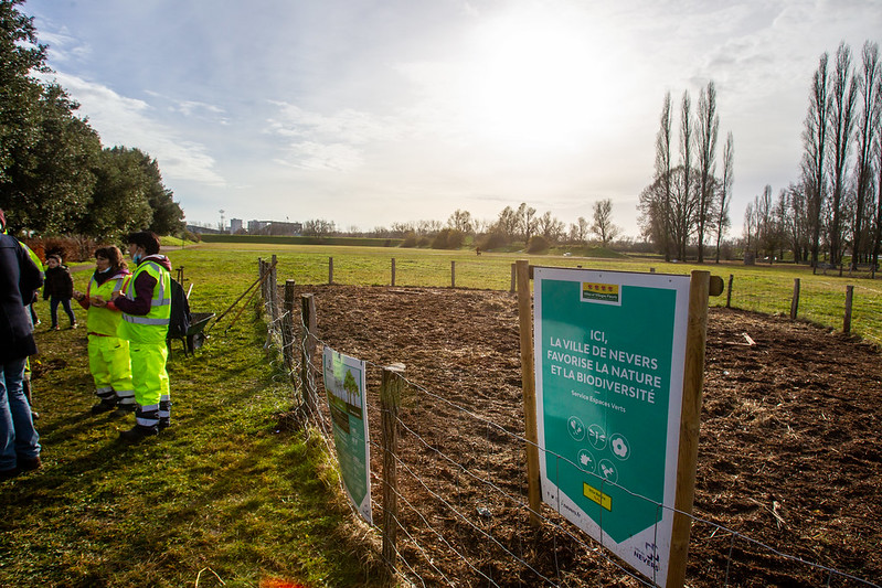 © Ville de Nevers En 2021, Nevers s'est lancé dans l'aventure des micro-forêts.