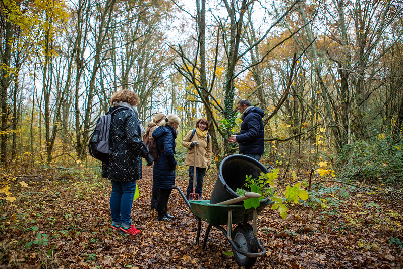 Les ateliers de collecte de graines Le service des espaces verts vous attendent pour la collecte de graines.