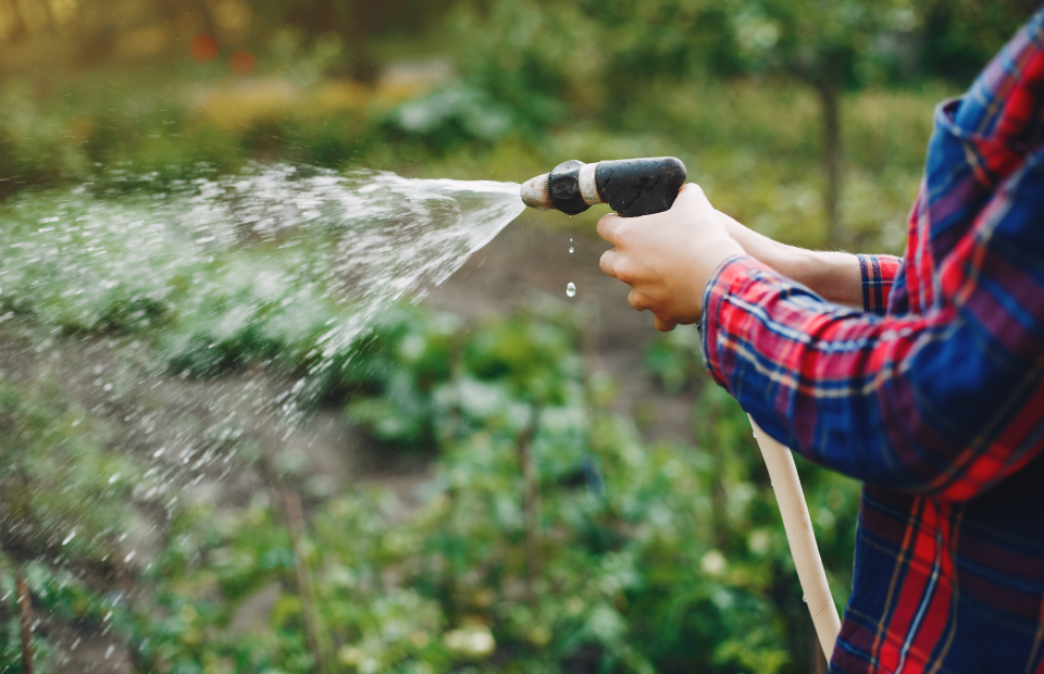 © Freepik | prostooleh Préserver la ressource en eau