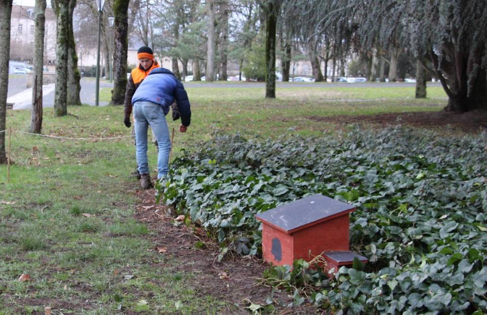 Biodiversité : un abri pour l’hiver