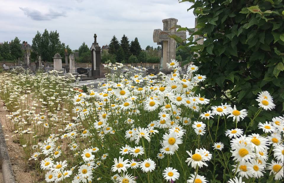 © Ville de Nevers Revalorisation des monuments funéraires : faciliter l'accès à une sépulture
