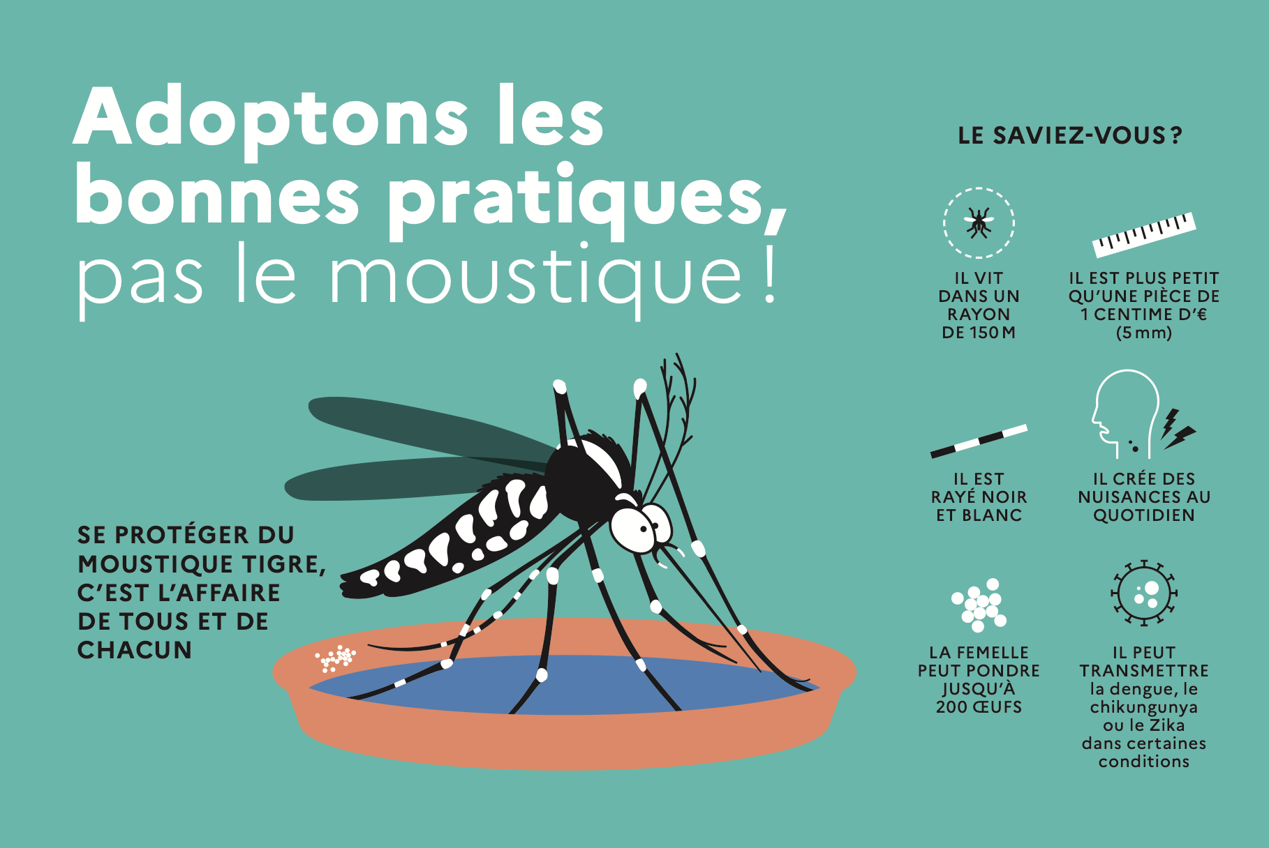 Se prévenir du moustique tigre : passe le message à ton voisin !