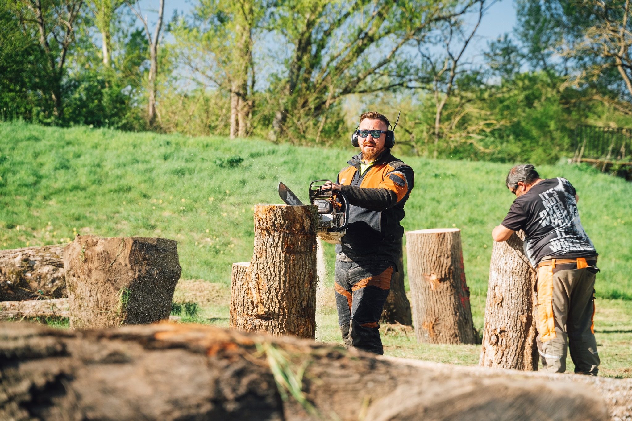 © Ville de Nevers Des sculptures en bois bientôt dans les parcs Salengro et Rosa-Bonheur