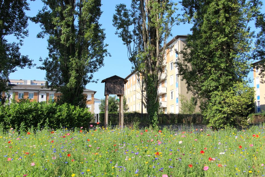 Gîte "building" à chauves-souris et prairie fleurie, impasse Stévenot, le long du boulevard Maréchal Leclerc au Banlay.