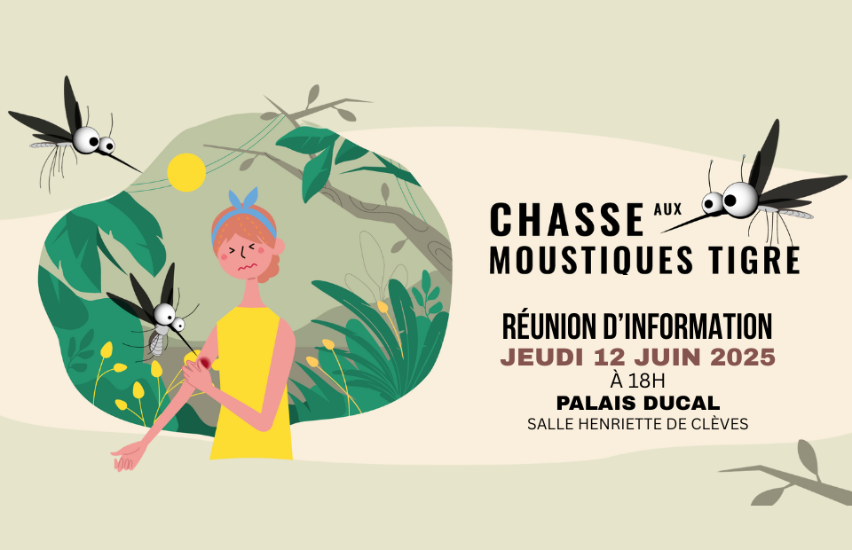© Ville de Nevers Moustique-tigre : réunion d'information et de sensibilisation jeudi 12 juin