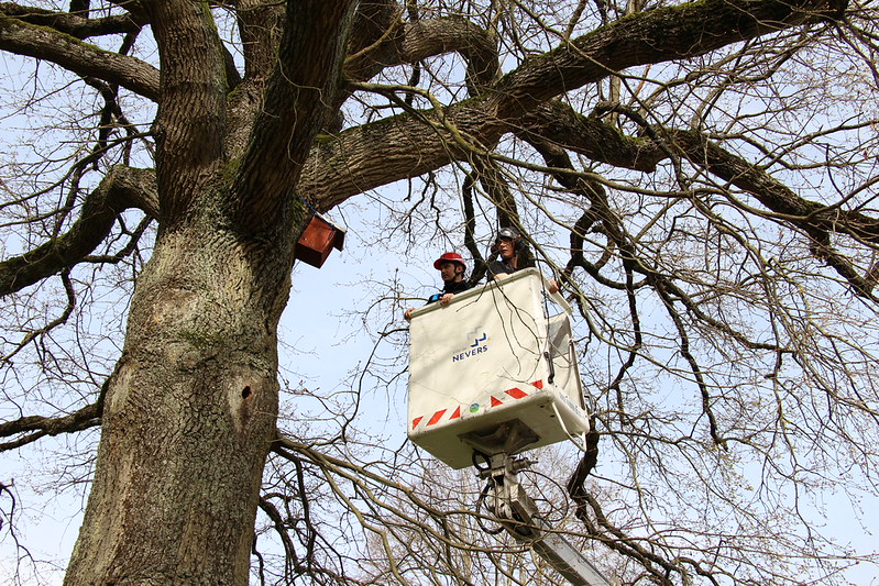 Les agents de la ville chouchoutent la précieuse biodiversité