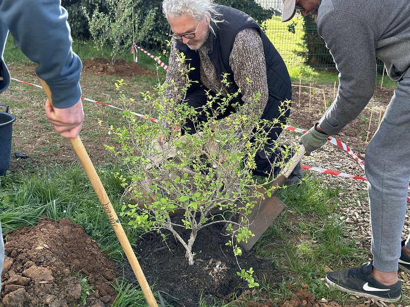 Venez planter les arbustes avec les agents du service des Espaces verts