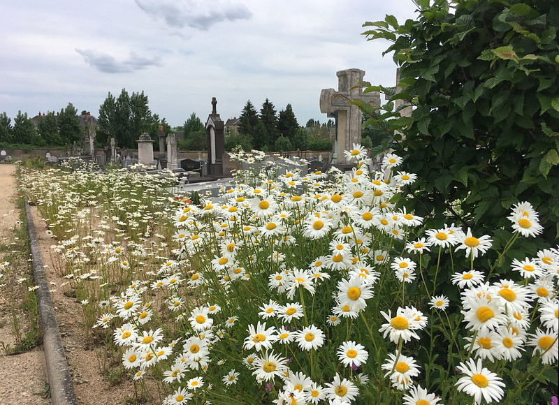 Le Printemps des cimetières, lundi 11 mai, au cimetière Jean-Gautherin
