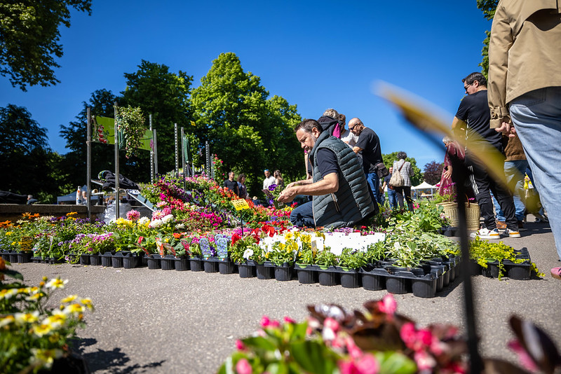 Un rendez-vous attendu des amoureux de la fleur