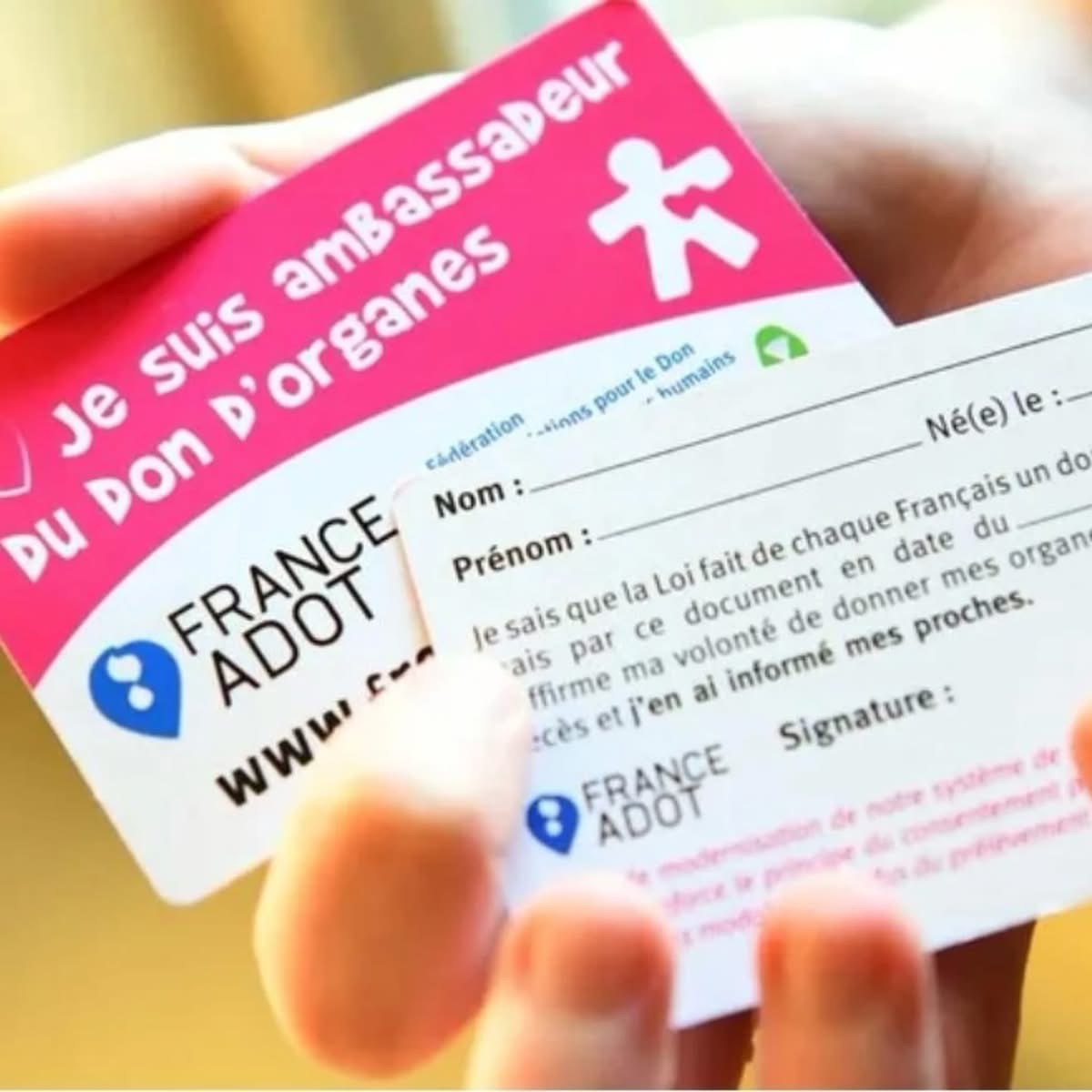 Dons d'organes : 1 donneur peut sauver plusieurs vies