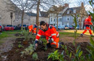 Les agents du service Espaces verts en pleine plantation de vivaces au square Girerd.