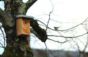 L'Atlas de la Biodiversité Communale est un outil de connaissance, de préservation et de valorisation du patrimoine naturel