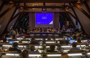 Prochain conseil municipal mardi 4 avril à 18 h 30 au Palais ducal.