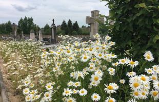 Revalorisation des monuments funéraires : faciliter l'accès à une sépulture