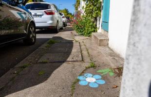 Fleurissement participatif : dites-le avec des fleurs !