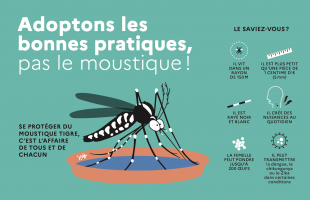Se prévenir du moustique tigre : passe le message à ton voisin !