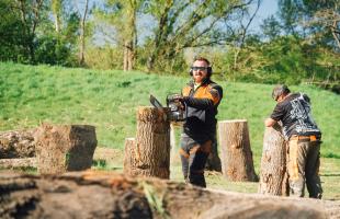 Des sculptures en bois bientôt dans les parcs Salengro et Rosa-Bonheur