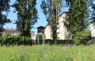 Gîte "building" à chauves-souris et prairie fleurie, impasse Stévenot, le long du boulevard Maréchal Leclerc au Banlay.