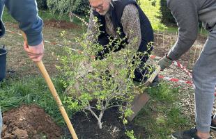 Participer à la construction du nouveau parc du quartier des Courlis en plantant des arbres avec l'ASEM