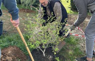 Venez planter les arbustes avec les agents du service des Espaces verts