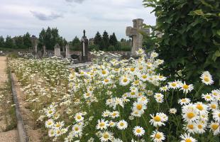 Le Printemps des cimetières, lundi 11 mai, au cimetière Jean-Gautherin