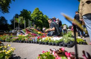 Un rendez-vous attendu des amoureux de la fleur