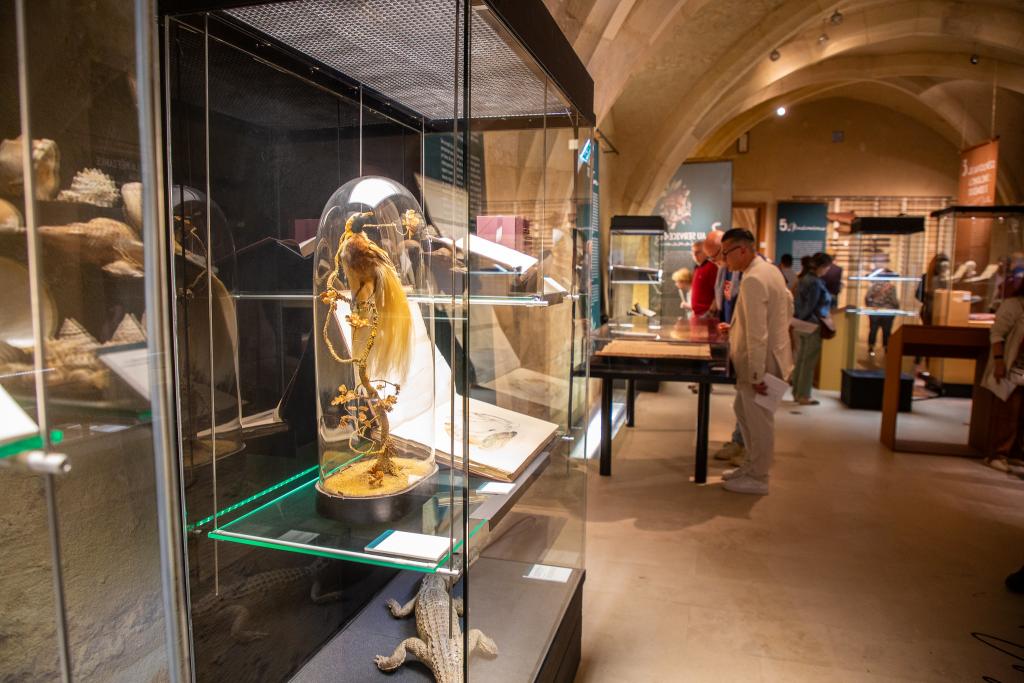 Exposition temporaire "Voyage autour du monde"