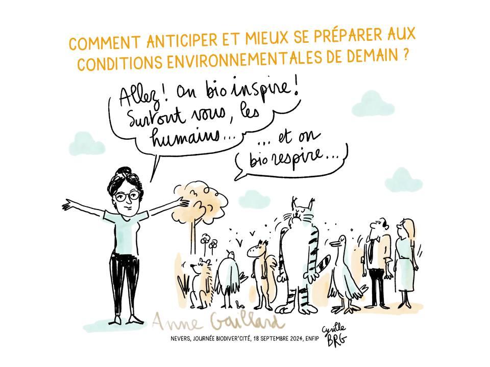 © Ville de Nevers