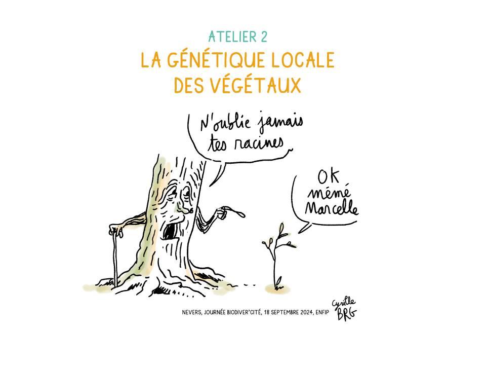 © Ville de Nevers